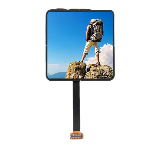 2.0-Inch Square HD OLED AMOLED Module 460 X 460 QSPI Interface4