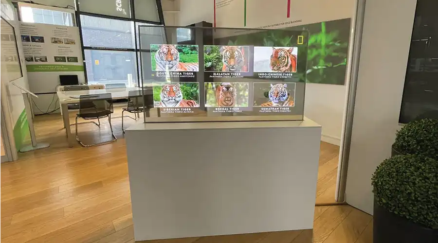 Transparent OLED Surface Transparent OLED Surface